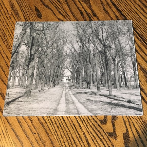 Hankel Other - "The Driveway" Buckner, MO B&W Photo
